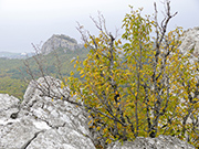 Скала Биюк-Исар. Вид с Байдаро-кастропольской стены